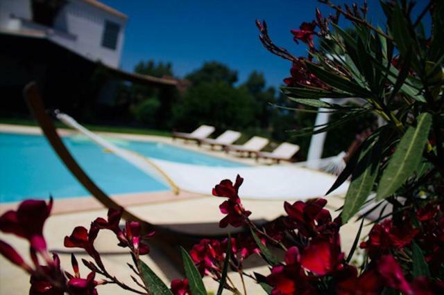 Villa Silvia Apartment Olmedo Zewnętrze zdjęcie